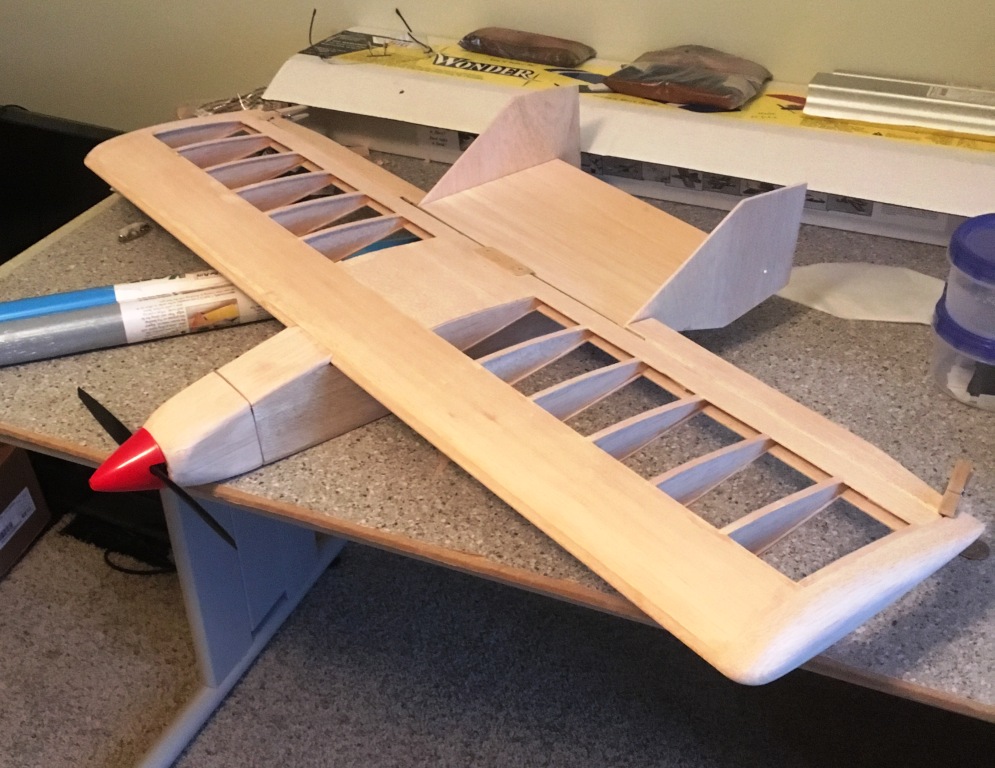 sig wonder rc plane